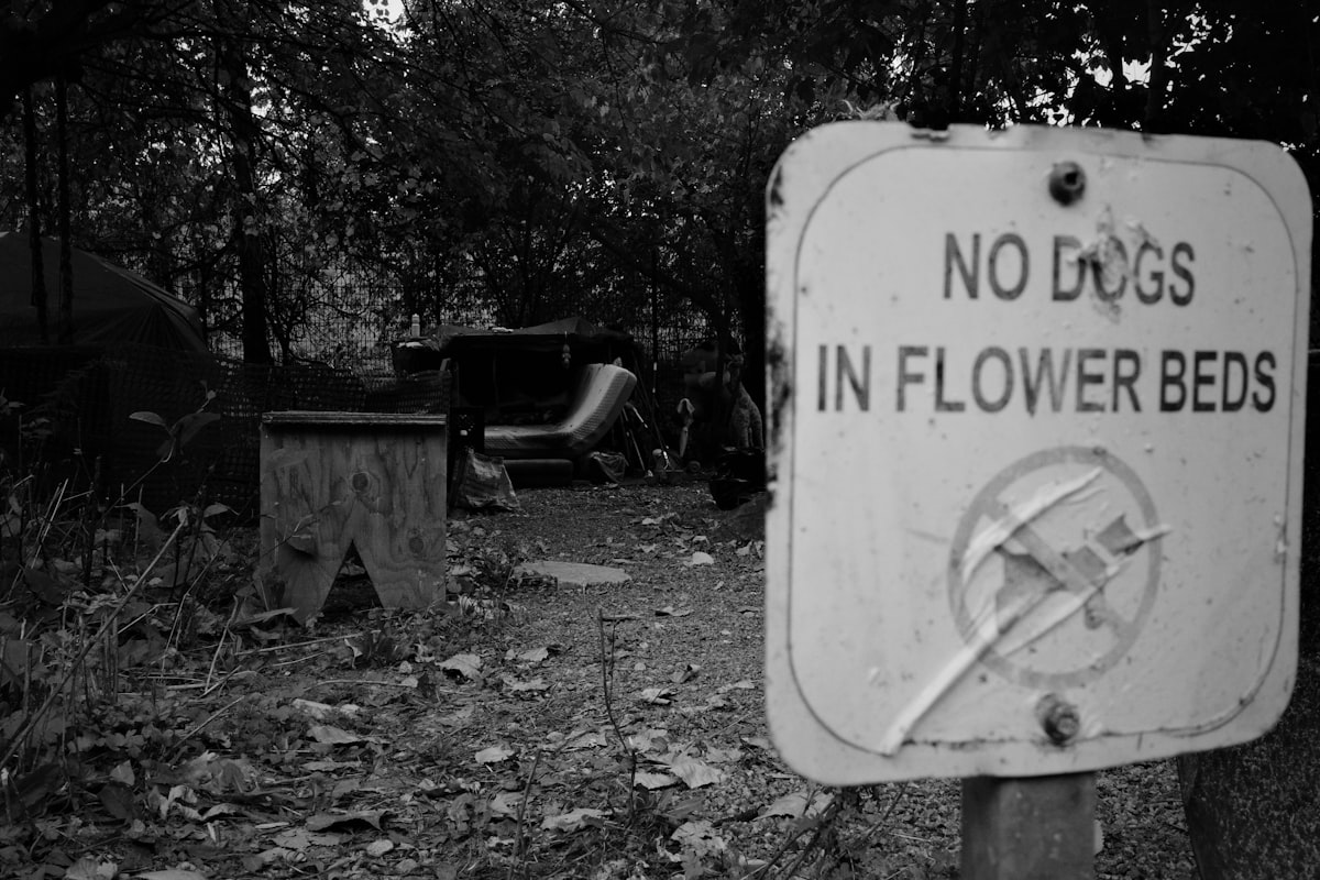 no-dogs-in-flower-beds-sign-in-park related to Don't Let Them Bite: Spotting the Tell-Tale Signs of Bed Bugs