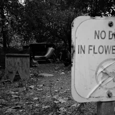 no-dogs-in-flower-beds-sign-in-park related to Don't Let Them Bite: Spotting the Tell-Tale Signs of Bed Bugs