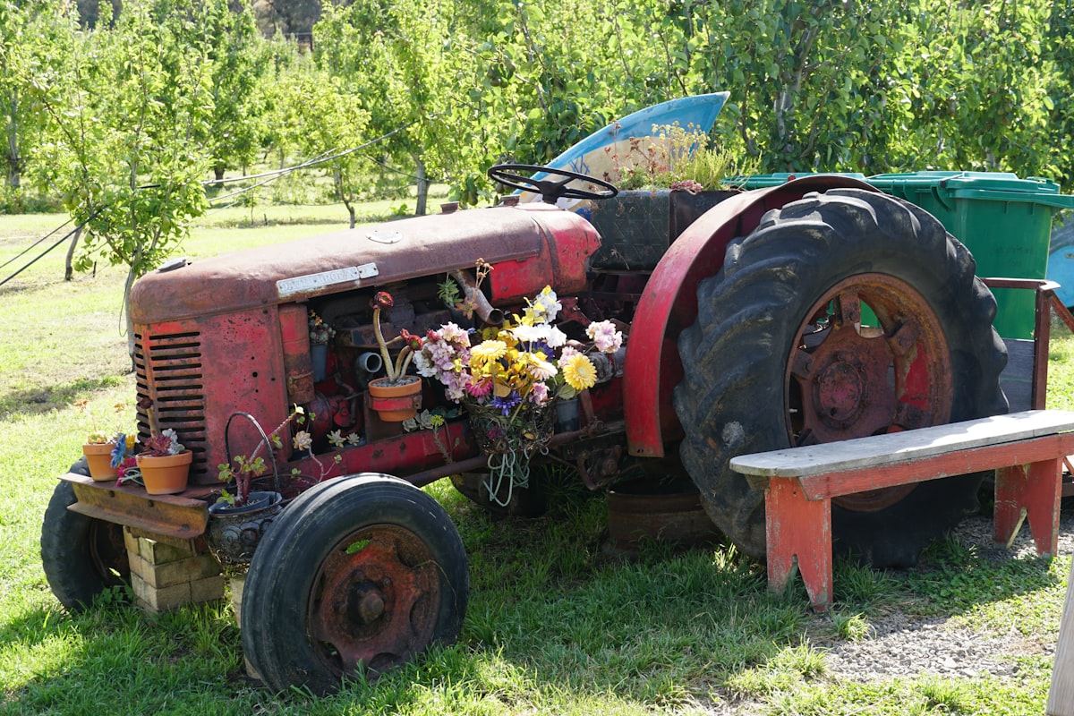 Old tractor decorated with flowers in a field in Tasmania, Australia related to Building Your Dream Tracked Bed: Ultimate Guide to Plans and Design Ideas