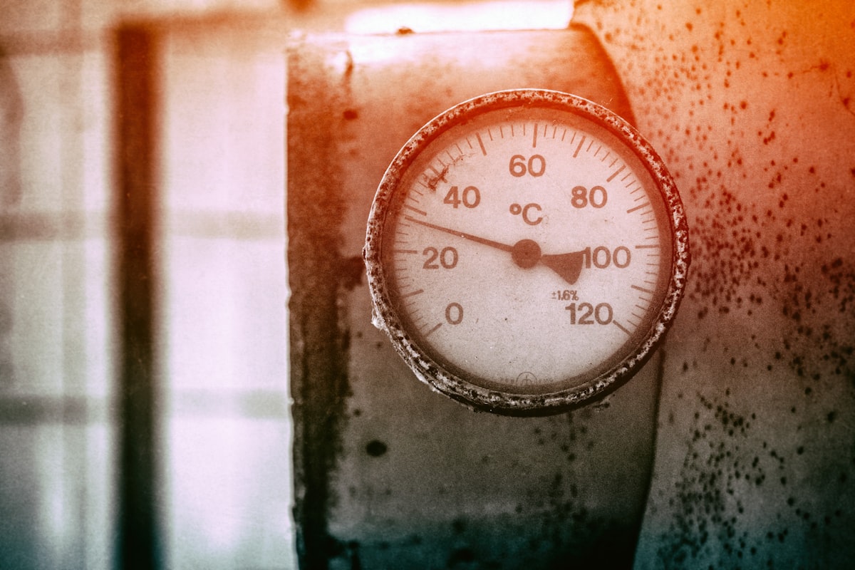 orange and white analog gauge related to Understanding the Costs of Heat Treatment for Bed Bugs