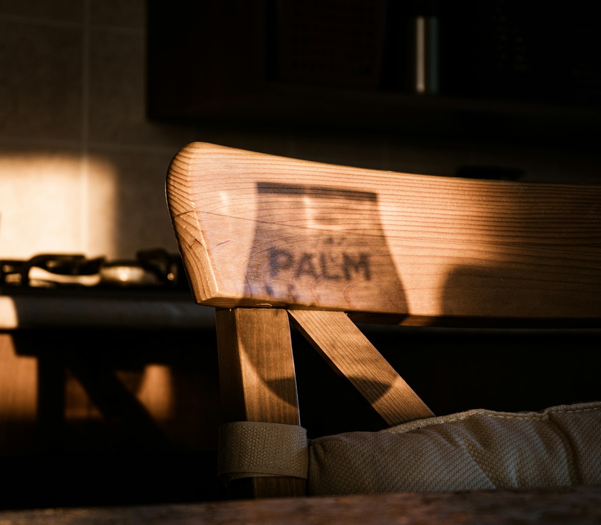 Palm glass shadow  related to Tropical Bedroom Oasis