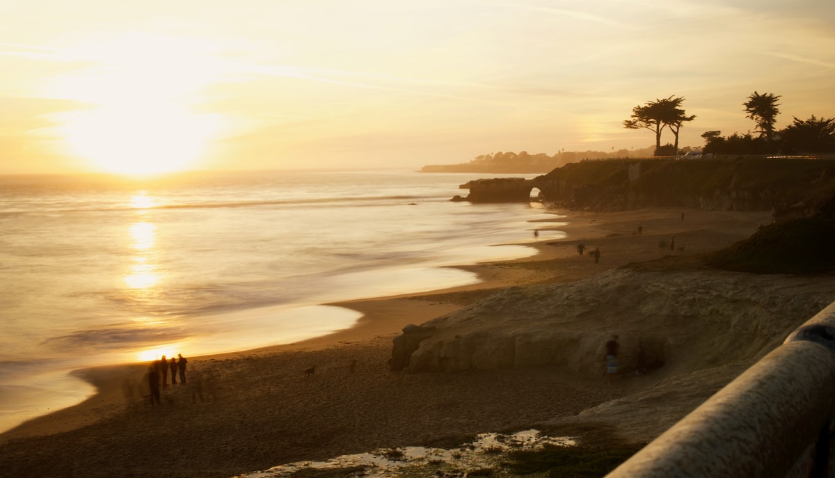 person walking on the seashore related to Discover the Charm of Santa Cruz: Top Bed and Breakfast Options