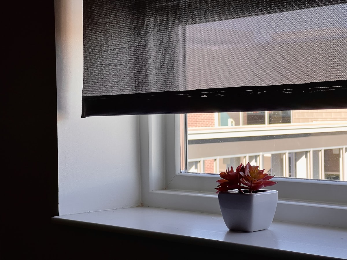 Plant sitting on window ledge related to 30 Window Valance Ideas to Elevate Your Home Decor