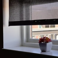 Plant sitting on window ledge related to 30 Window Valance Ideas to Elevate Your Home Decor