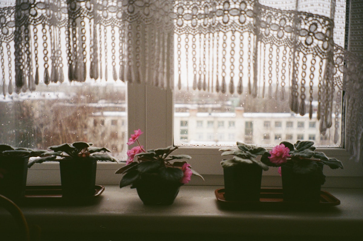 Potted plants on a windowsill with lace curtains related to Lace Valances for Windows: Elegant Window Treatments