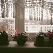 Potted plants on a windowsill with lace curtains related to Lace Valances for Windows: Elegant Window Treatments