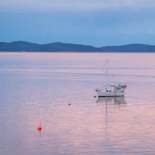 Quiet on the Huon River, Tasmania. related to Discover Top Home Essentials in Anchorage