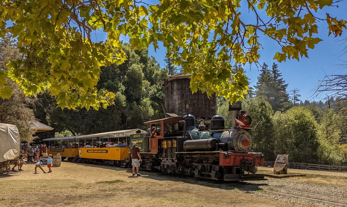 red and black train near green trees during daytime related to Thomas the Train Valance: A Touch of Nostalgia for Your Nursery