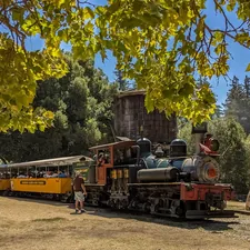 red and black train near green trees during daytime related to Thomas the Train Valance: A Touch of Nostalgia for Your Nursery
