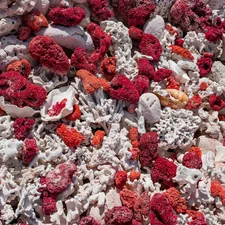red and white heart shaped candies related to Transform Your Bedroom with Stunning Coral and Aqua Bedding