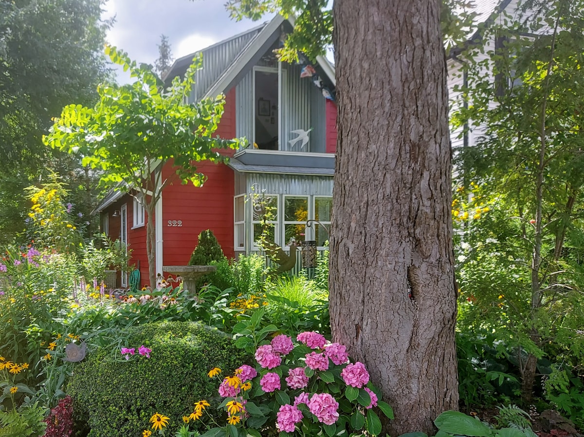 red and white house near tree related to Exploring the Charm of Bed and Breakfasts in Buffalo, NY