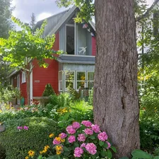 red and white house near tree related to Exploring the Charm of Bed and Breakfasts in Buffalo, NY