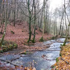 Reflections of Fall Along a Forest River. Calm Waters in a Silent Autumn Forest. The River Carries the Colors of Fall. related to Embrace the Outdoors: Create Your Private Oasis with a Luxurious Outdoor Canopy Bed