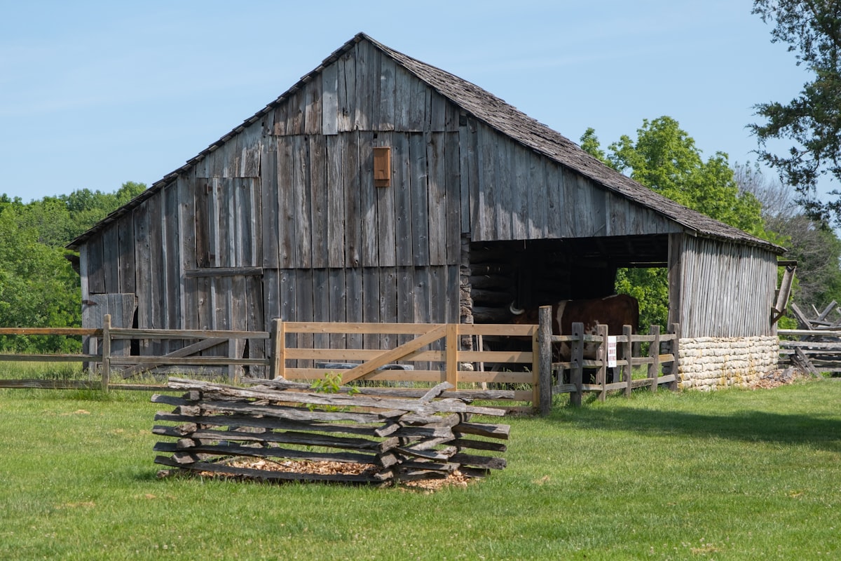 Rustic wooden barn in a grassy field under blue sky. related to Rustic Charm: The Timeless Appeal of a Barn Wood Bed