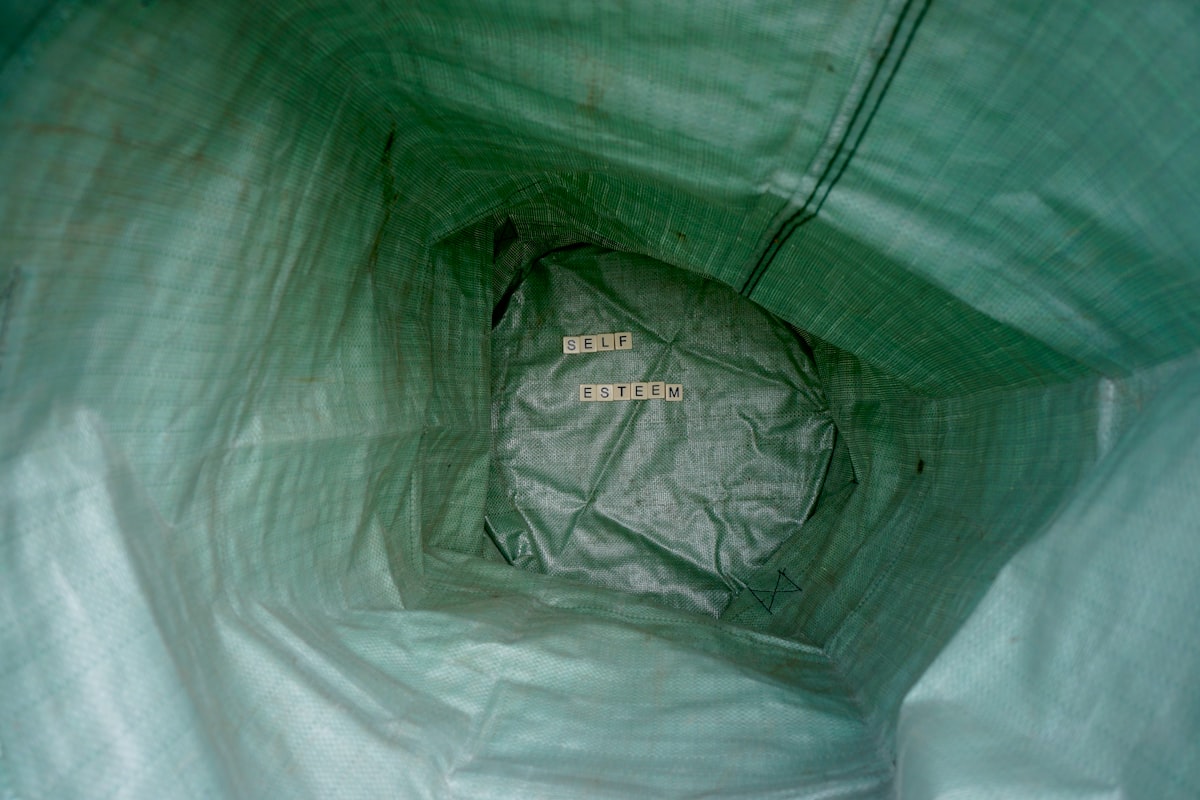 Self-esteem related to Kmart Bed in a Bag: A Game Changer for Your Bedroom