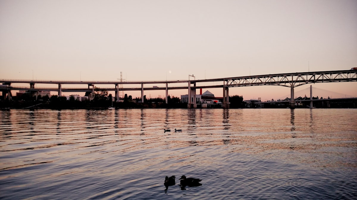 silhouette of bridge over body of water during sunset related to Oregon Ducks Bedding: Enhance Your Room with Team Spirit