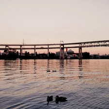 silhouette of bridge over body of water during sunset related to Oregon Ducks Bedding: Enhance Your Room with Team Spirit