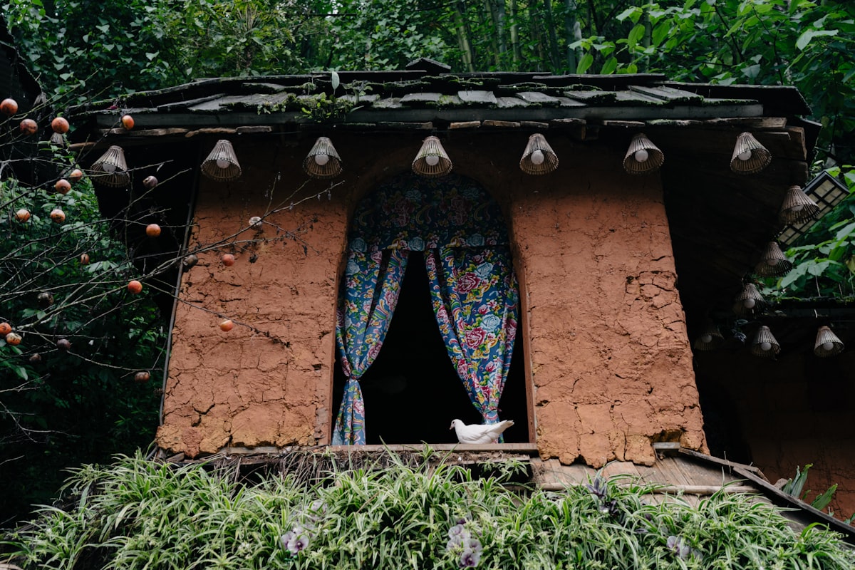 Small rustic building with patterned curtains in window. related to The Rustic Charm of Clay Chimineas: Fueling Gatherings and Memories