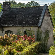 Small stone cottage surrounded by lush garden related to A Charming Escape: Garden House Bed & Breakfast in Key West, FL