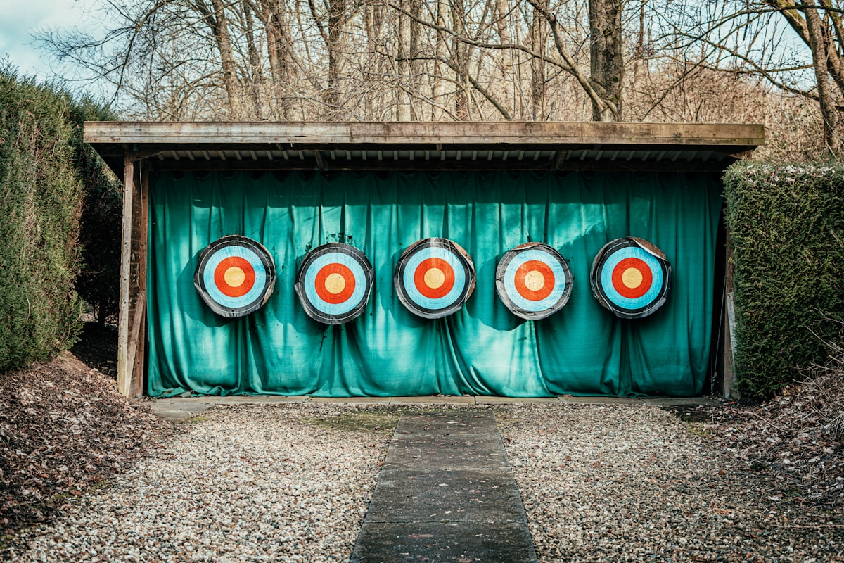 Target practice with bullet holes related to Window Valances for Target
