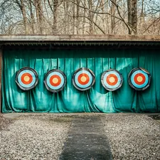 Target practice with bullet holes related to Window Valances for Target