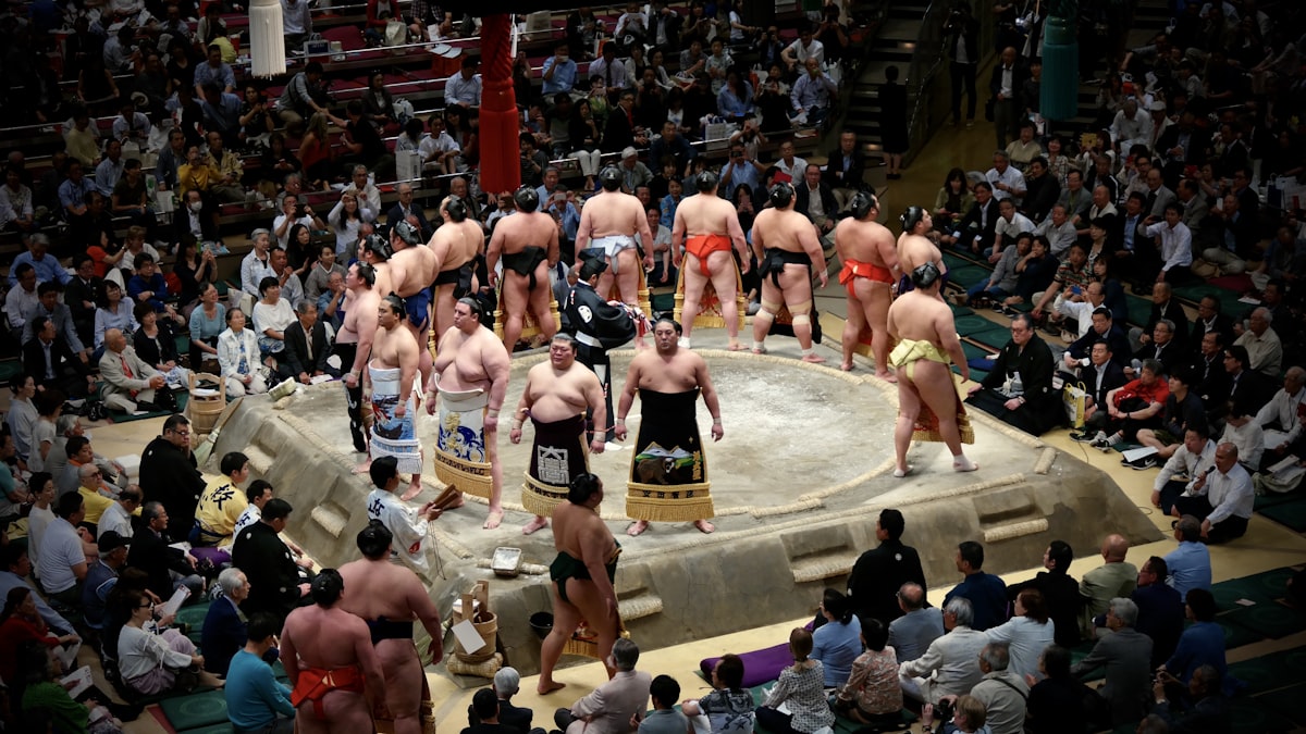 The Kings of Japan related to The Ultimate Wrestling BedSet: Comfort and Supersize Fun
