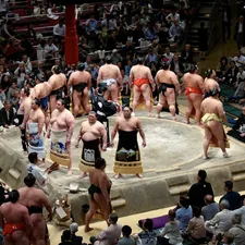 The Kings of Japan related to The Ultimate Wrestling BedSet: Comfort and Supersize Fun