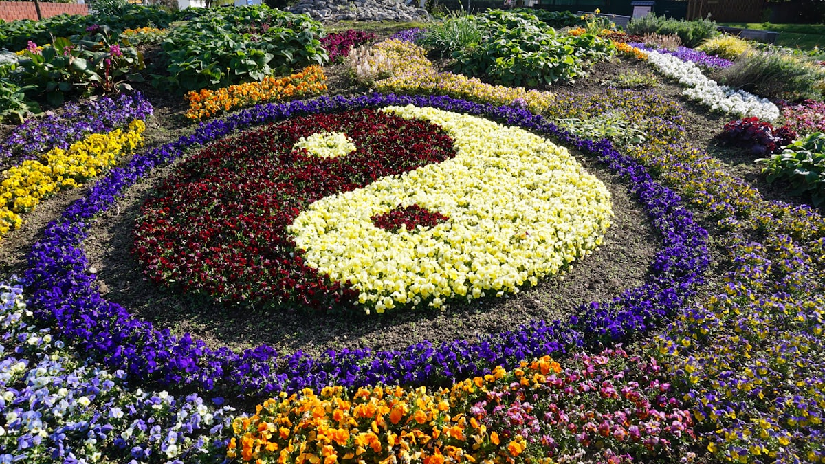 The sign of Ying and Yang - made of flowers. related to Blooming Beauty: Unleashing Your Creativity in Garden Bed Ideas