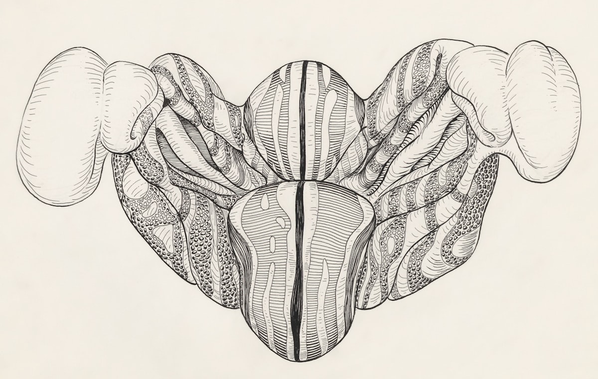 Title: Part of the central nervous system Creator: Tinkelenberg, J Date: 1978-12-15 Providing institution: Universitaire Bibliotheken Leiden Aggregator: Dutch Collections for Europe Providing Country: Netherlands Public Domain Part of the central nervous system by Tinkelenberg, J - Leiden University Libraries, Netherlands - Public Domain. https://www.europeana.eu/item/744/item_3461761 related to The Ultimate Guide to Gli Front Valance: Enhancing Your Car's Aerodynamics