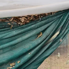 Torn green shade cloth with debris and leaves. related to DIY Swag Valance Tutorial