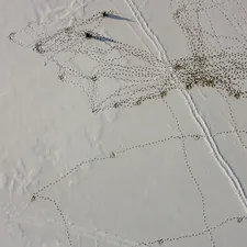 Traces from winter ice fishing on the lake related to Don't Let the Bed Bugs Bite: A Guide to Identifying and Eliminating Them from Your Mattress