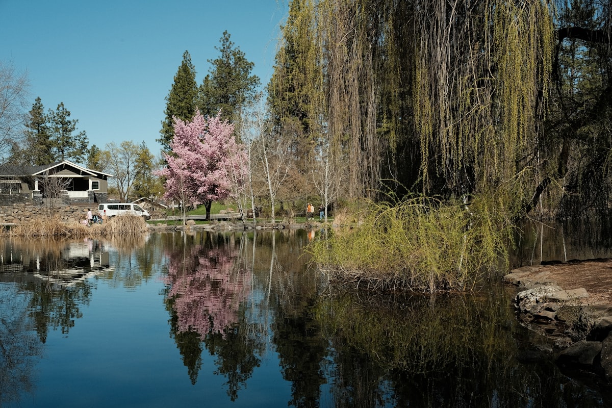 Trees reflect beautifully in the still water related to Top Bed and Breakfasts in Spokane, WA