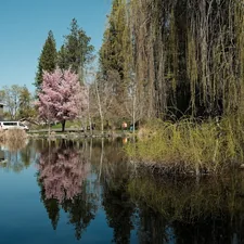 Trees reflect beautifully in the still water related to Top Bed and Breakfasts in Spokane, WA