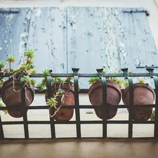 Venezia (Venice). Italy related to Pottery Barn Window Valance