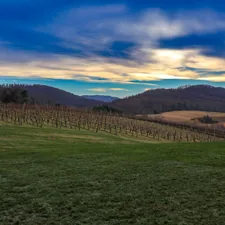 Views of the vineyard related to Romantic Getaway at Virginia's Finest Bed and Breakfast Winery