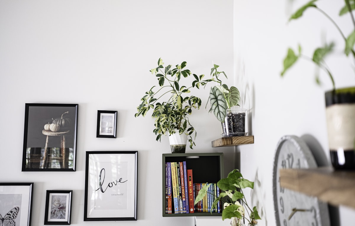 Wall art and plants displayed on shelves related to Upgrade Your Home Decor with Attached Priscilla Curtains Valance