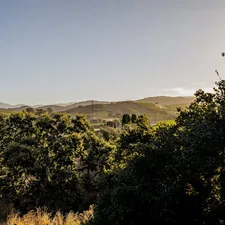 Warm sunlight illuminates green trees and distant hills. related to Charming Stays in Napa Valley