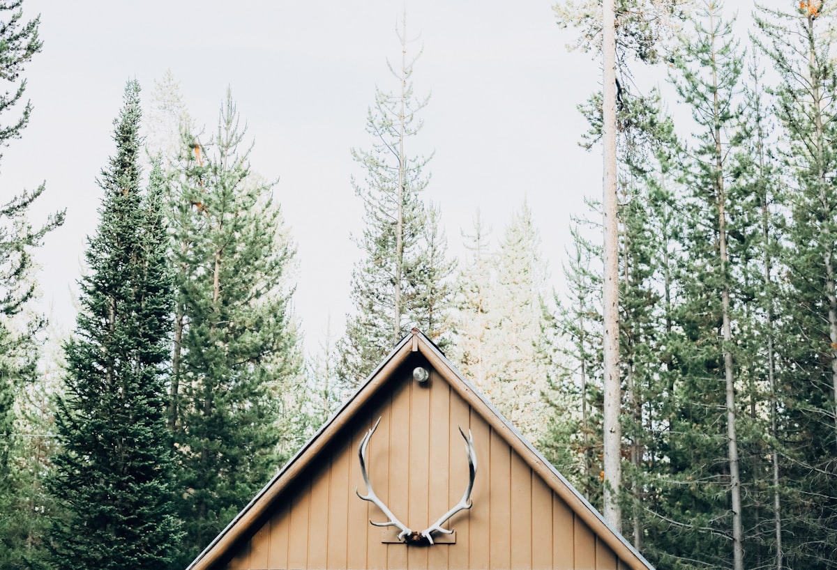 We stayed in the kind of cabin you expect Gaston to burst through the door and prop his feet up on the table at any moment. related to Cozy Cabin Charm: Discovering the Magic of Cabin Themed Valances
