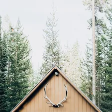 We stayed in the kind of cabin you expect Gaston to burst through the door and prop his feet up on the table at any moment. related to Cozy Cabin Charm: Discovering the Magic of Cabin Themed Valances
