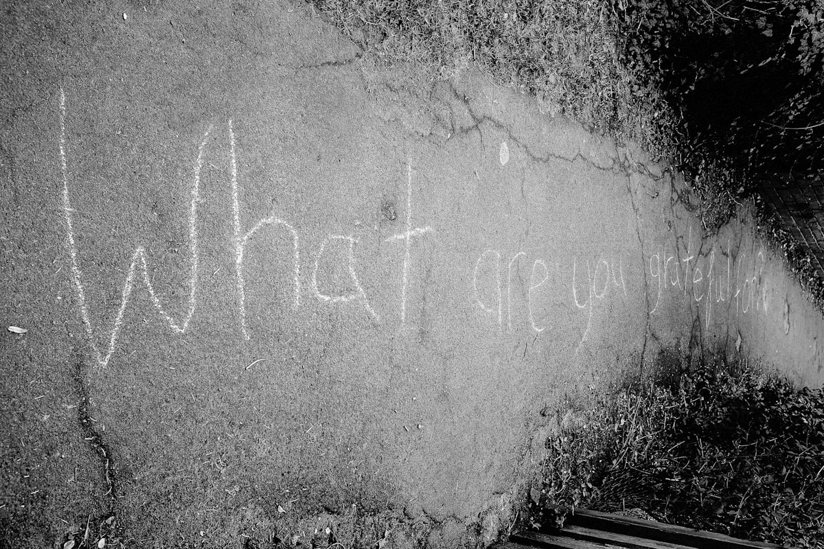 What are you grateful for? related to What Can You Put on Bed Bug Bites: Effective Relief Options