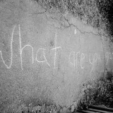 What are you grateful for? related to What Can You Put on Bed Bug Bites: Effective Relief Options