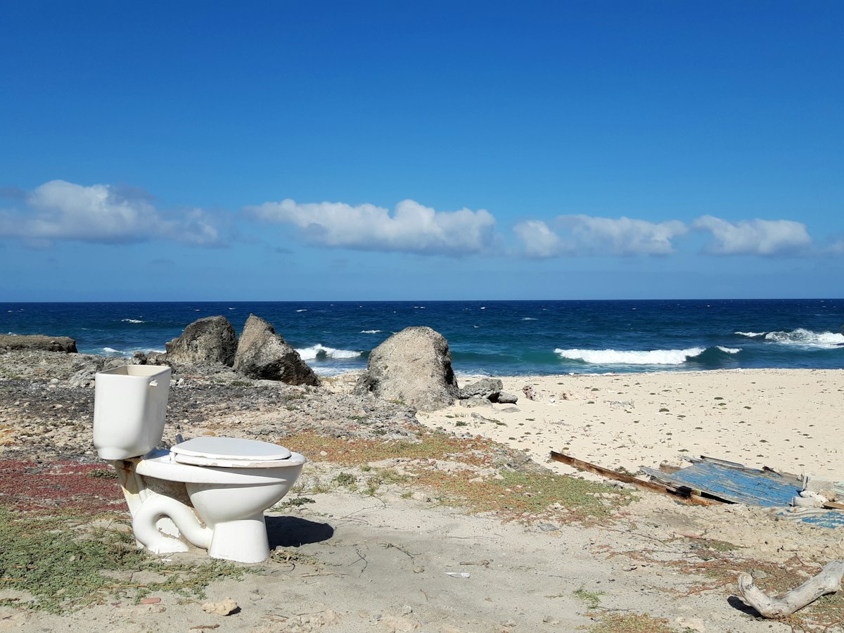 white and blue sea under blue sky during daytime related to The Ultimate Guide to Choosing the Perfect Toilet with Bidet