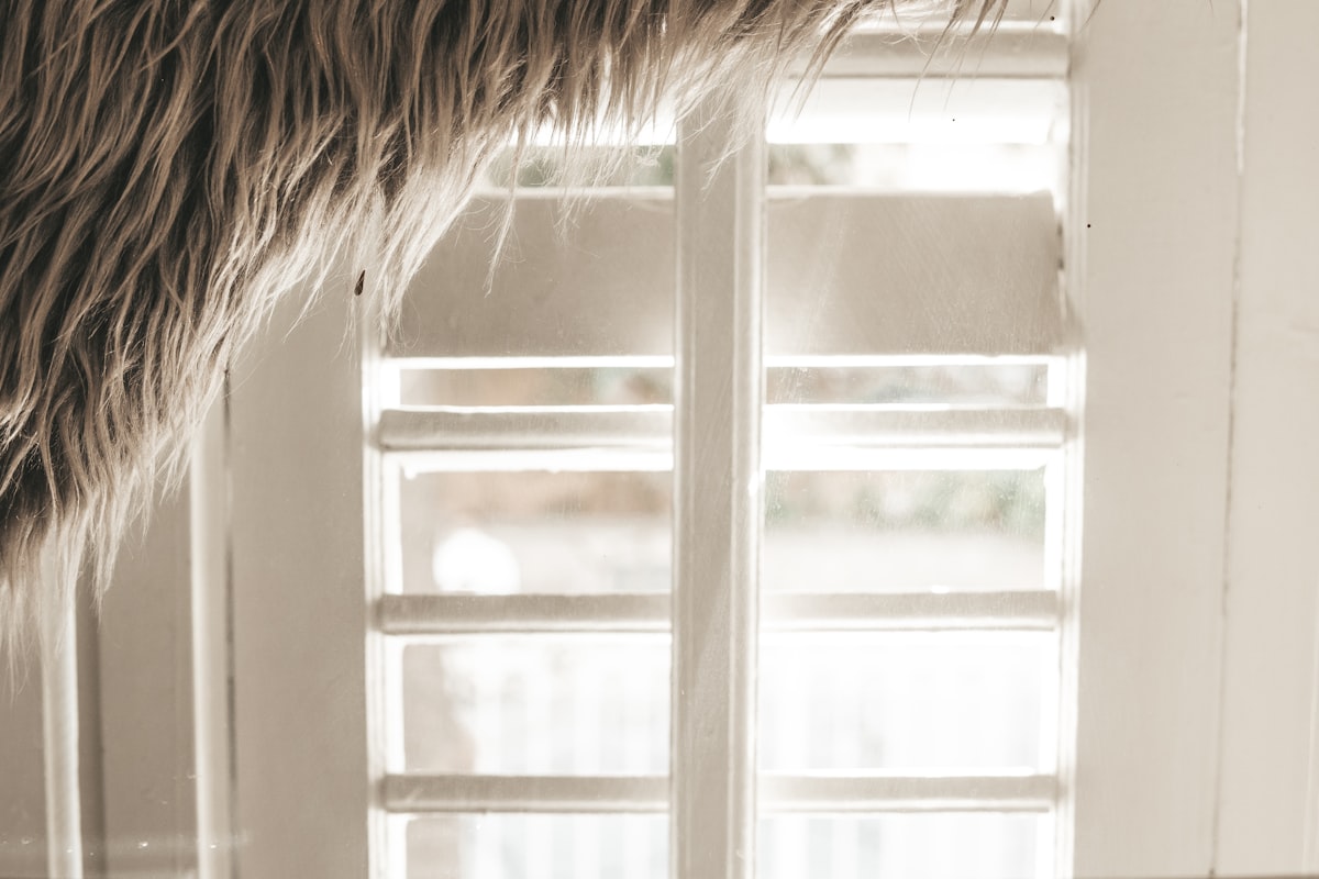 white and brown fur textile related to Rustic Charm: Burlap Valance Ideas to Elevate Your Space