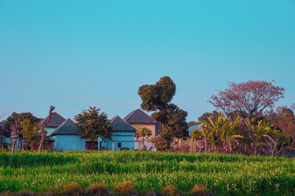 white and brown house surrounded by green grass and trees under blue sky during daytime related to Add a Pop of Rural Charm with Rooster Valances Window Treatments