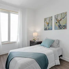 white and gray bed linen related to Madison Park Bedding: Elevating Your Sleep Sanctuary