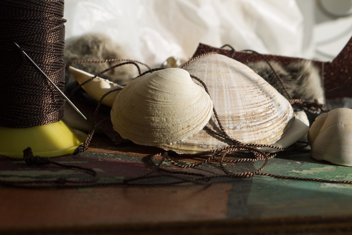 white seashell decors related to Seashell Curtains and Valances: Adding a Beachy Touch to Your Home