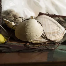 white seashell decors related to Seashell Curtains and Valances: Adding a Beachy Touch to Your Home