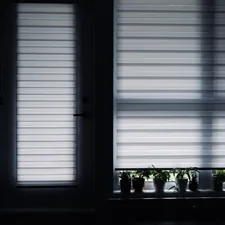 Window blinds with potted plants below related to Roman Shades with Valance