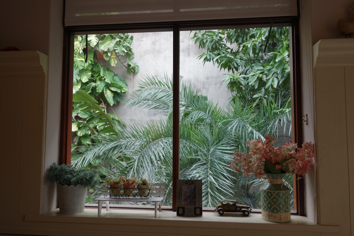 Window view of lush green plants and palm trees. related to Elevate Your Window Style with Curtains with Valances