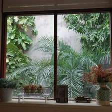 Window view of lush green plants and palm trees. related to Elevate Your Window Style with Curtains with Valances